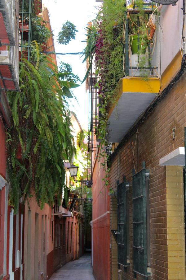 Green Street Seville Exterior photo